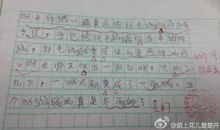 花儿开了的比喻句