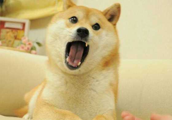 寓言用词来形容爱管闲事