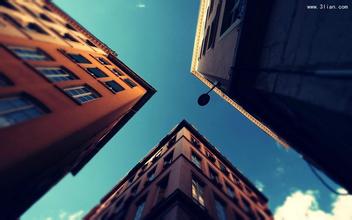 带有图片的美丽句子4