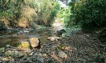 关于小溪的比喻句