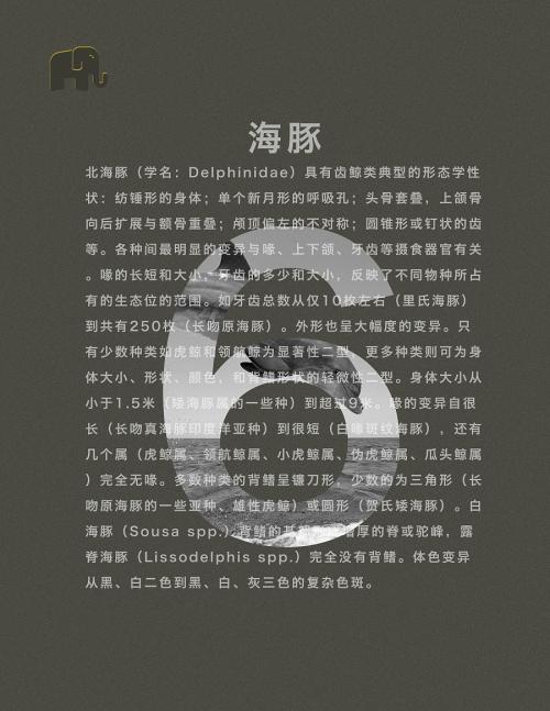 关于动物的英语名言