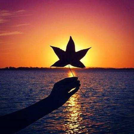 生活中最重要的事情就是做自己，不是每个人都能理解你的温柔1