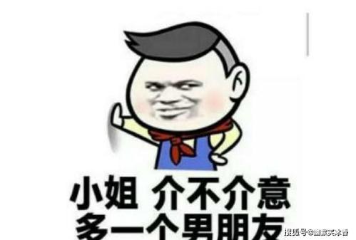 豆隐词