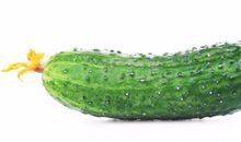 关于黄瓜的比喻句