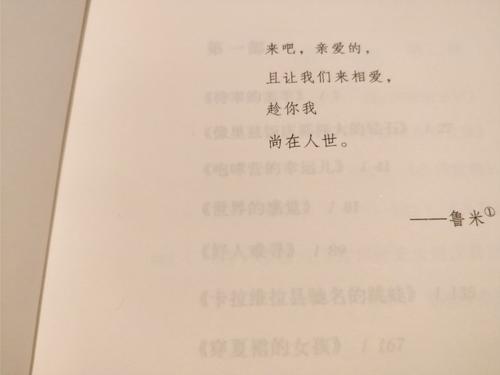 说服人们放弃爱情的句子