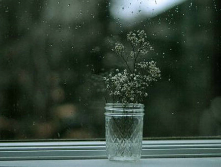 您不仅无法躲避风雨，还为您带来余生