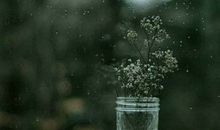 你不仅做不到挡风遮雨，余生的风雨也是你带来的