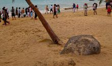 描写三亚美景的句子