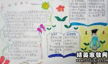 关于关爱的谚语