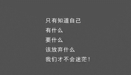 关于小说的句子