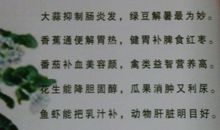 关于食物的谚语