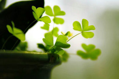 一切都太重要了，因为挫折太少了