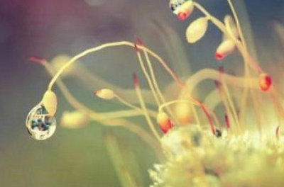 一切都很重要，因为挫折太少1