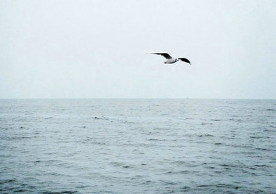 人们总会有一些理想，无论大小理想1