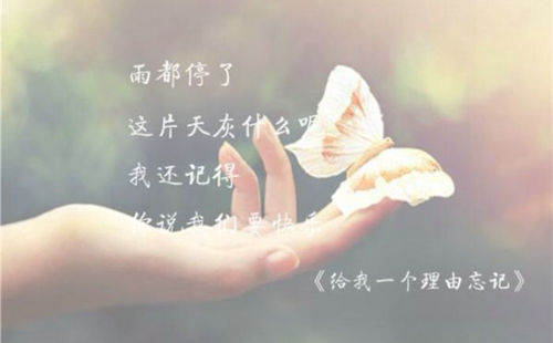 关于带有图片的感性美的句子