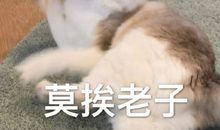 抖音酷酷的句子