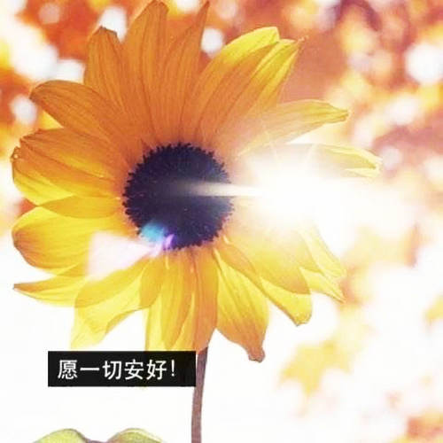 愿你们一切都好，美丽的句子和图片