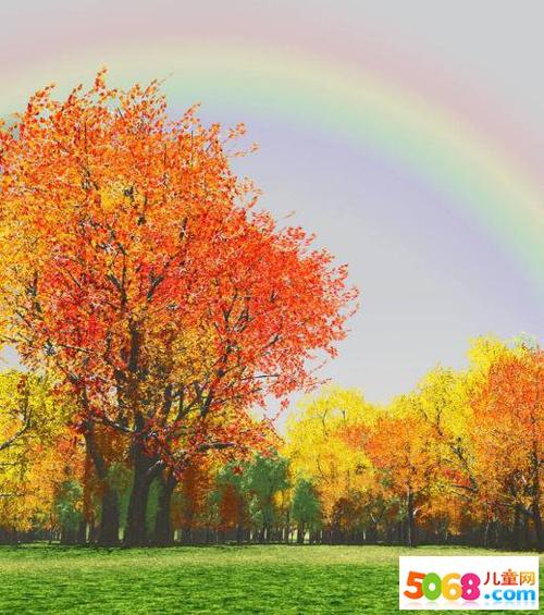 秋天的美丽句子