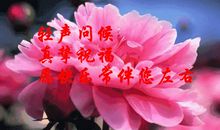 早晨思念爱人的话