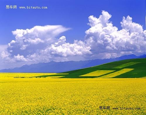 草原之美的隐喻