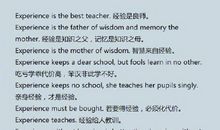 英语简单谚语作文