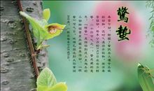 关与保护动物的谚语