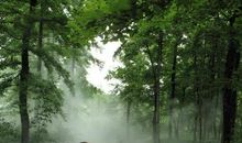 农民种地的谚语