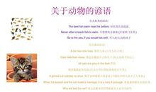 保护动物谚语英文