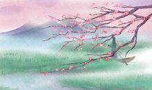 有关桃花的诗句古诗