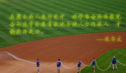 鼓舞人心的报价