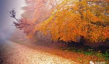 秋天果园的比喻句