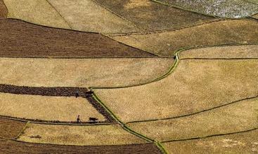 关于春耕的谚语