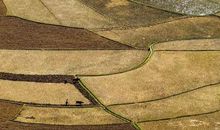 关于春耕的谚语