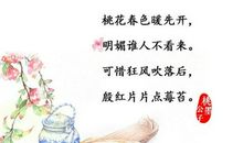 描写桃花开的诗句