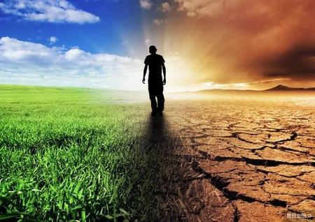 努力工作将在生活中有足够的选择