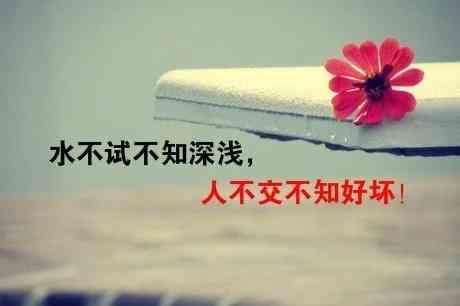 朋友圈里的丈夫努力工作