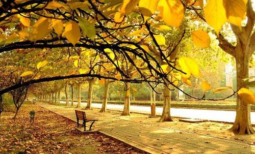 感伤的句子描述秋雨