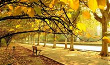 描写秋雨的伤感句子