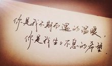 关于不期而遇的句子