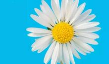 朋友圈早安好句子