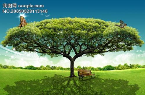 冬季树木的寓言