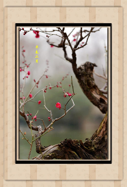 描述初春和二月的句子