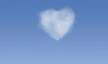 曾经年少轻狂的句子