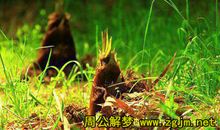 竹笋像什么比喻句