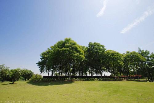 句子描述风和太阳