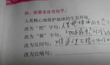 生命是什么比喻句