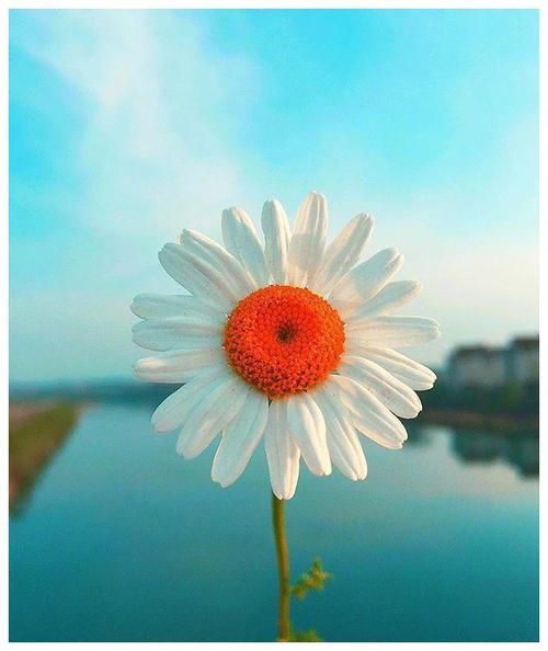 充满活力的句子