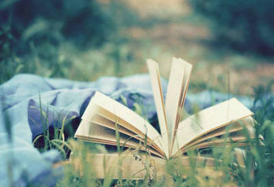 冷静地失去,冷静地获得,为必然性而奋斗,让大自然顺其自然