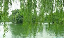 描写亭子的比喻句