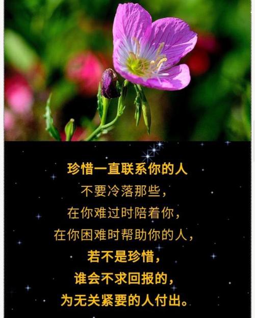 关于失踪亲人的句子